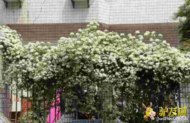 �ذ��ľ��?