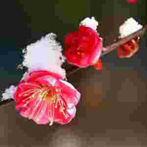 ʮ�󲻼����� ҹ���㾹ȻҲ�ϰ���