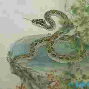 һ�����õ�����(g��)��Ф��һ݅��ɶ������