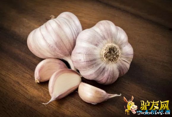 ��Ҫ�Դ���