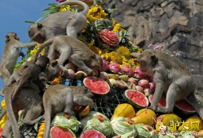 ���������͹�