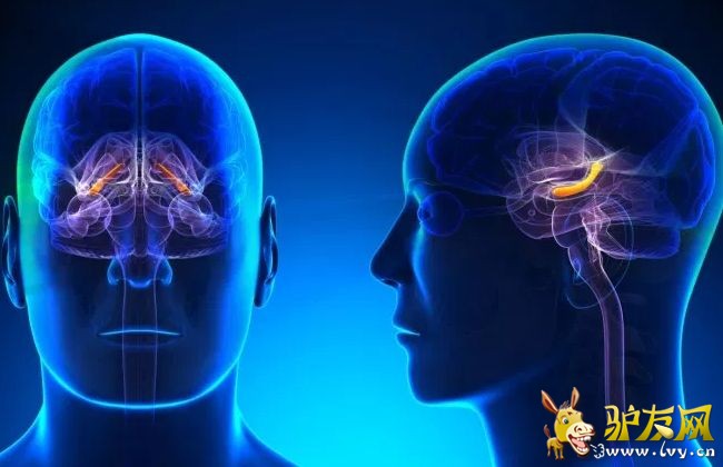 ���õ�ӛ����