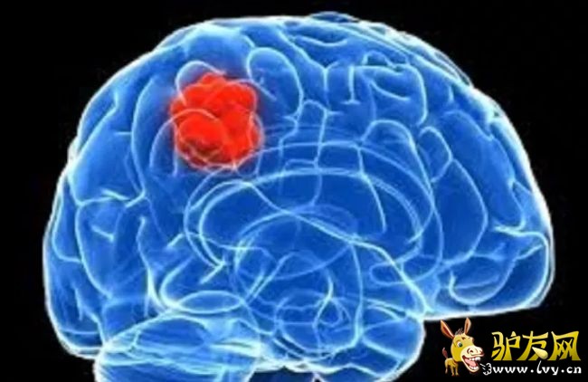 ��(j��ng)ϵ�y(t��ng)���X��