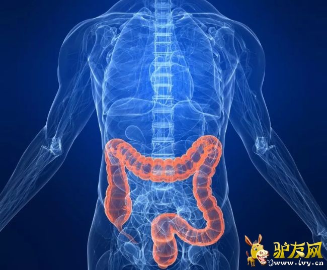 �Y(ji��)�cֱ�c��