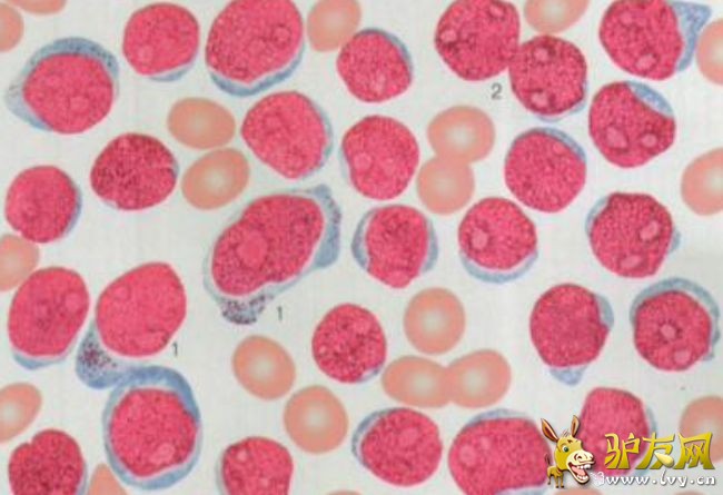 �����ܰͼ�����Ѫ��