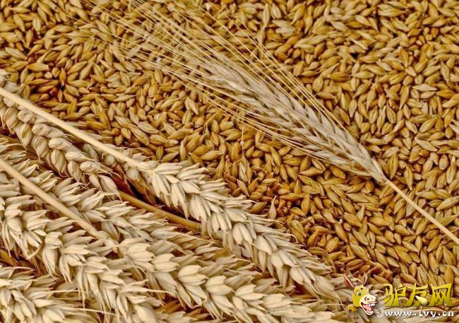 ̼ˮ������