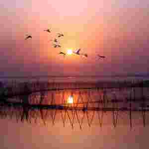 �Ї����ĵ�ˮ�� ۶ꖺ���e��3150ƽ��ǧ��