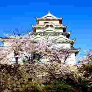 �ձ����ču�Z ���ݍuռ��������e��60%