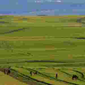 �Ї����Ĳ�ԭ ��ؐ����ԭ��e�sһ�|��ǧ�Ű��f��