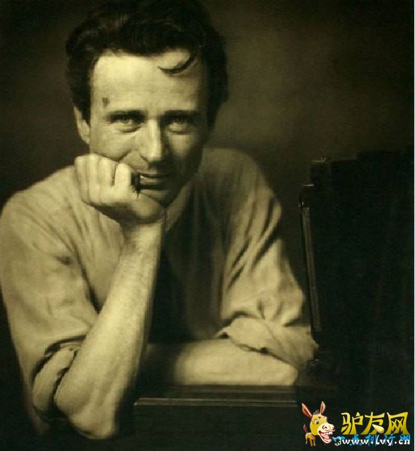 �����������F����Ƭ 290�f��������