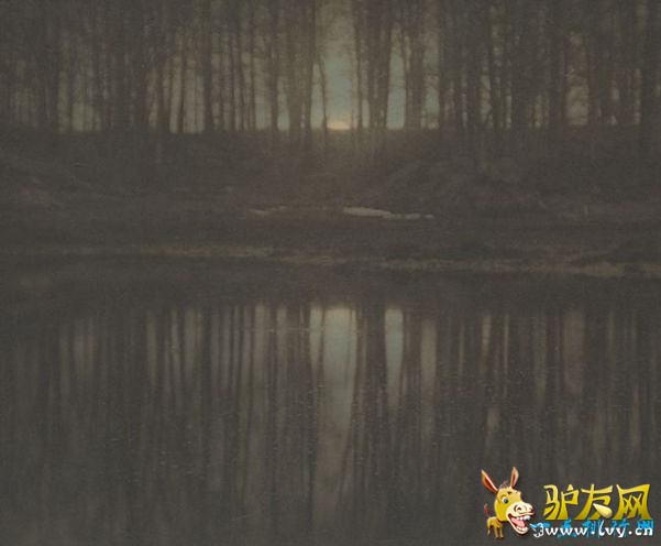 �����������F����Ƭ 290�f��������