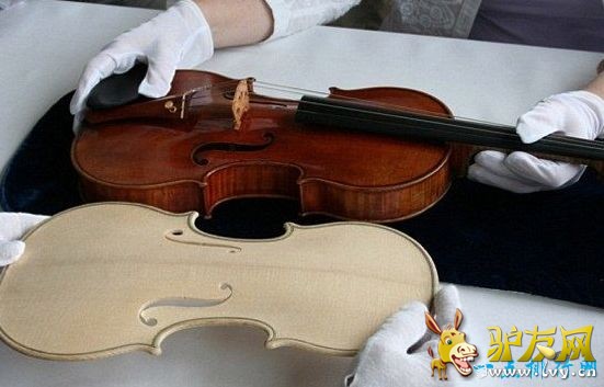 ����Ĭ��˹����������С���١���354�f��Ԫ