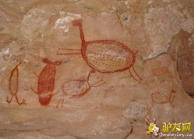 �����_��Ƥ����