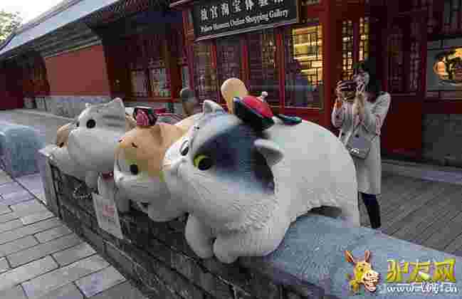 �ʌm�F������؈ ���B�����ȷ�����