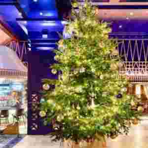 ȫ�����Fʥ�Q�� �rֵ1190�fӢ�^���ϾY�M�@ʯ�͌�ʯ