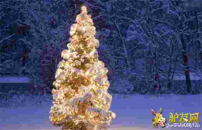 ȫ�����Fʥ�Q�� �rֵ1190�fӢ�^���ϾY�M�@ʯ�͌�ʯ