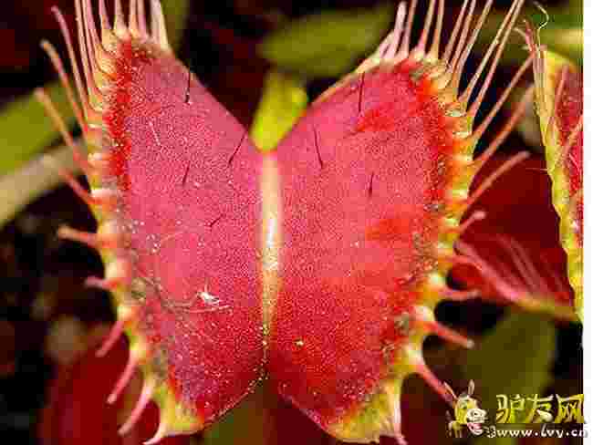 �����i�\��