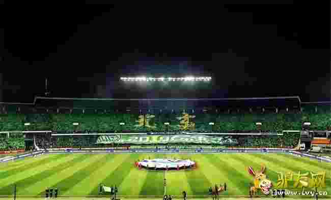 �������TIFO