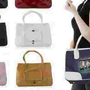 ʮ������ֵĕr����� �ڲ����Ͽ����B����