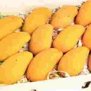 �ЋDʮ�����ˮ�� ���еċ�����Ҫע����