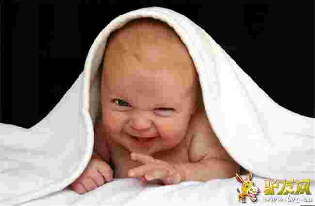 ������ֹ�o��������