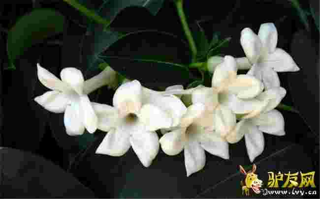 ͻ��˹��ֹ����