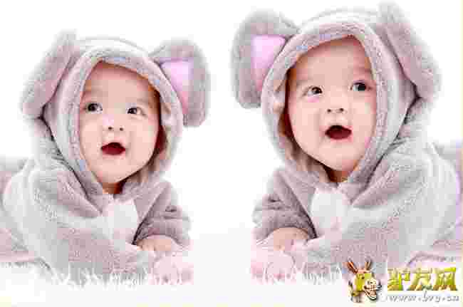 �����r���_�ăɂ��p��̥