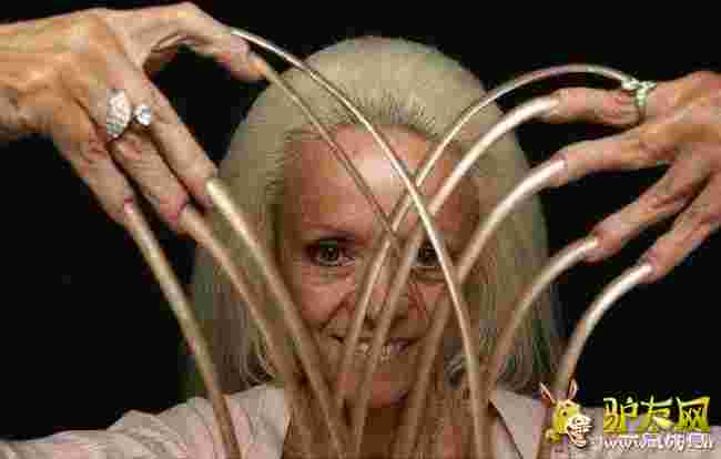 ���������L��ָ��