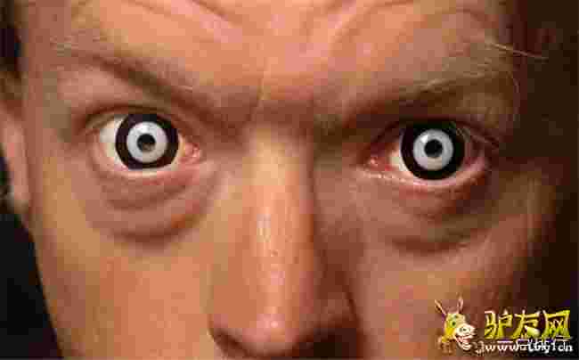 �fʥ��(ji��)�[�����R