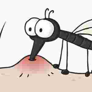 ������ӫIѪ ʷ����o���^�Ąӱ���ʿ�Z���@��