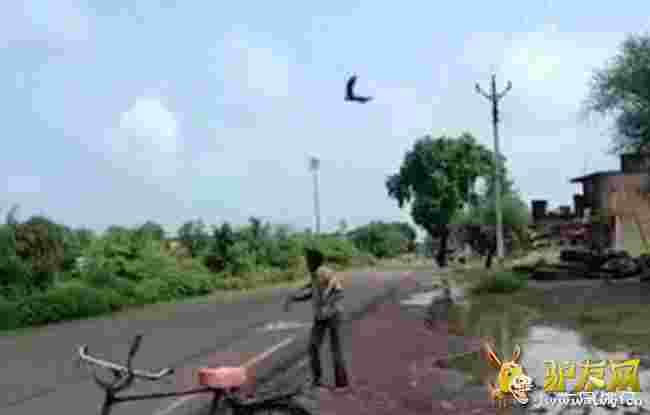 ��������f׷3�� ���`�J�ɚ���С���f�ă���