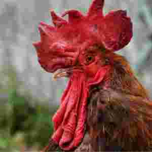 �������Q���u���V ������߀�A��1000�WԪ�r����