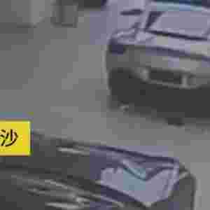 �����F�N�ҷ����� �����әC׌��Ŀ�ɿڴ�