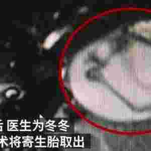 �Ћ븹�вؼ���̥ ����̥��������γ�