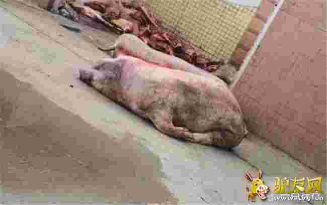 ���Sϴ�ײ����i ÿ�Ք�ǧ�����i�����M�Ј�