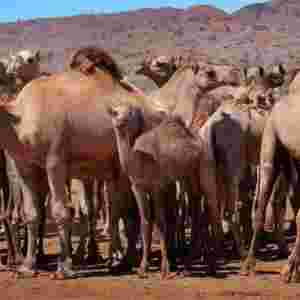 �Ĵ������䚢�� ��ˮ�ȶ��˾�Ҳ�����e(cu��)