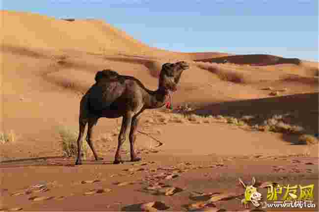 �Ĵ������䚢�� ��ˮ�ȶ��˾�Ҳ�����e