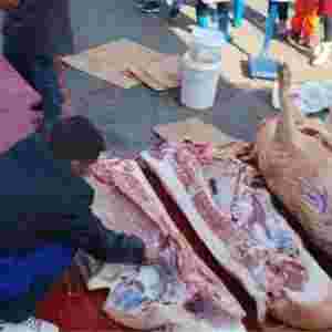 �W(xu��)У�o�W(xu��)���l(f��)�i�� �W(xu��)��һĘ�¼��L(zh��ng)Ц����