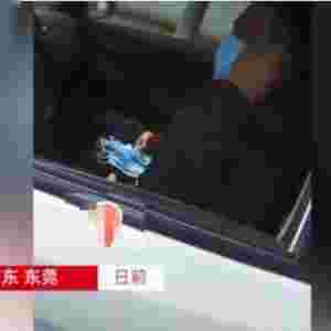 ���Ӵ�ʮ�������� �������B���춼���@��