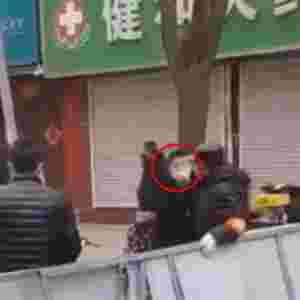 ������[���ؿ��� ���Ұ�������ֳ��°汾