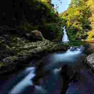 ����ʡ�����о���ɽ�L�����΅^: �tɫ�Ļ����I �Gɫ���B�lչ