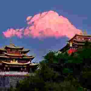 �����������ȫ����