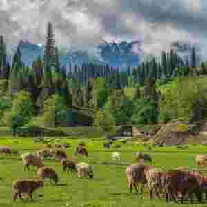 2023�ꡰ���Մپ���ȫ�����������ƏV������½������e�k