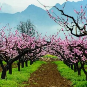 ������@���������l��26�l�����l�����e�����о�Ʒ��·